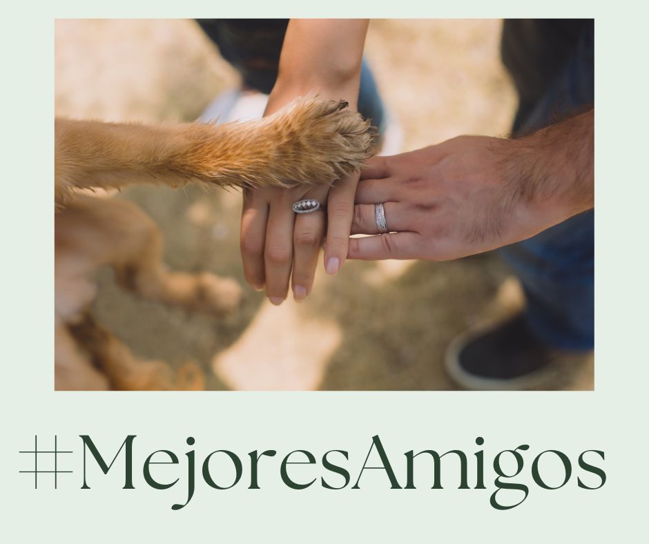 Programa MejoresAmigos